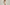 SLIP DRESSES