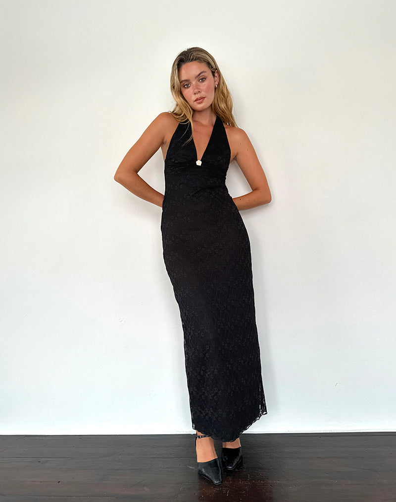 Atma Halterneck Maxi Dress in Canina Lace Black , Halter Neck , Bodycon , V Neck Atma Halterneck Maxi Dress in Canina Lace Black , Halter Neck , Bodycon , V Neck