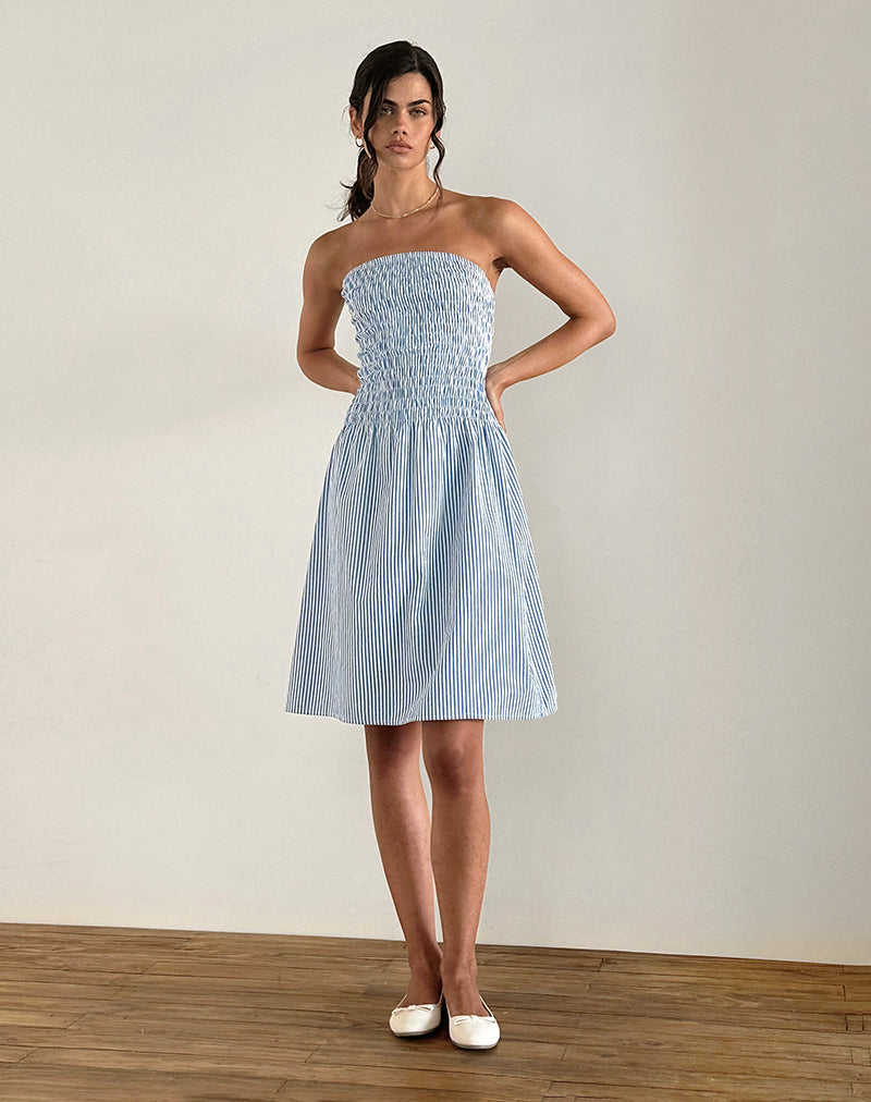 Belesi Midi Dress in Blue Small Vertical Stripe, M Belesi Midi Dress in Blue Small Vertical Stripe, M