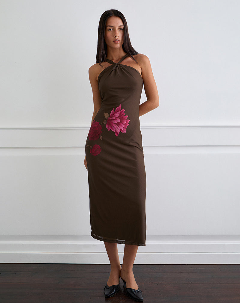 brown floral bridesmaid dresses Silvra Halterneck Midi Dress in Brown with Pink Flower Print , Halter Neck