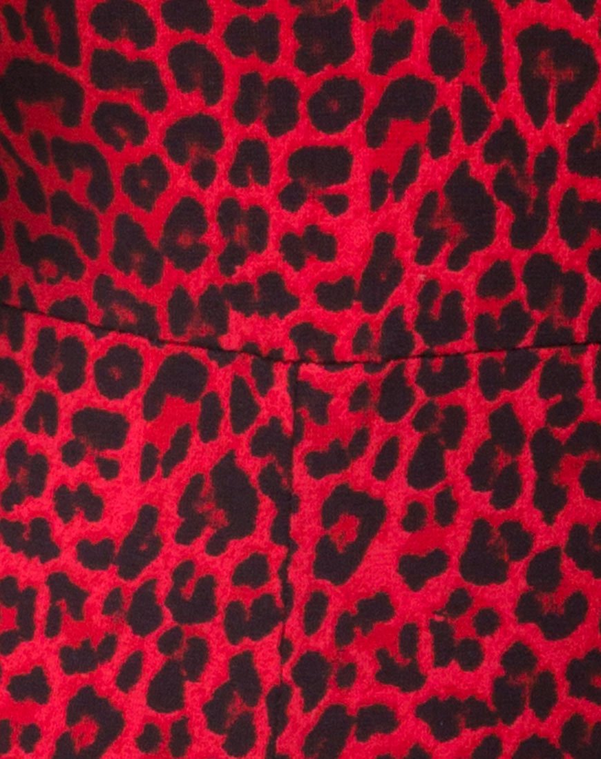 Image of Acro Unitard in Coloured Animal