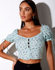 Image of Flaba Top in Pretty Petal Green