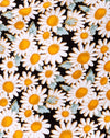 DelighfulDaisy