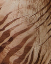 Tiger Brown