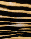 Zips Zebra Brown
