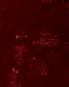 Satin Rose Mulberry