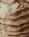 Tiger Brown