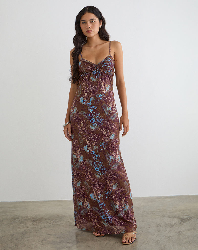 Alnaka Maxi Dress in Feathery Paisley Brown