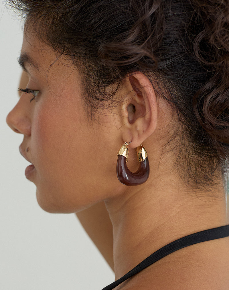 Acrylic Brown and Gold Plated Hoop Earrings