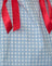 Blue Gingham with Red Bow