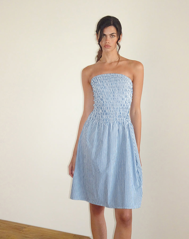 Women's Belesi Midi Dress in Blue Small Vertical Stripe, S