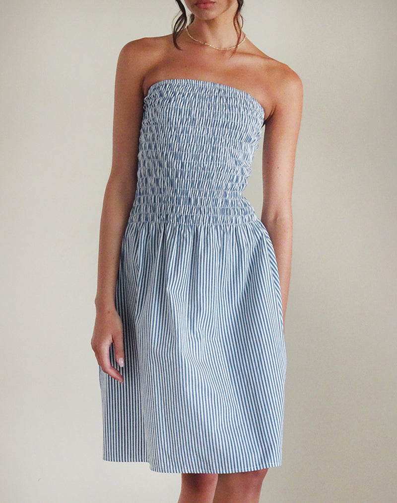Belesi Midi Dress in Blue Small Vertical Stripe Belesi Midi Dress in Blue Small Vertical Stripe