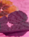 Hot Pink with Double Petal Script