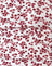 Strawberry Off White