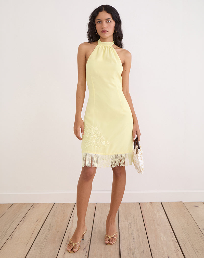 Image of Brisea Mini Dress in Lemon with Vintage Bloom Embroidery