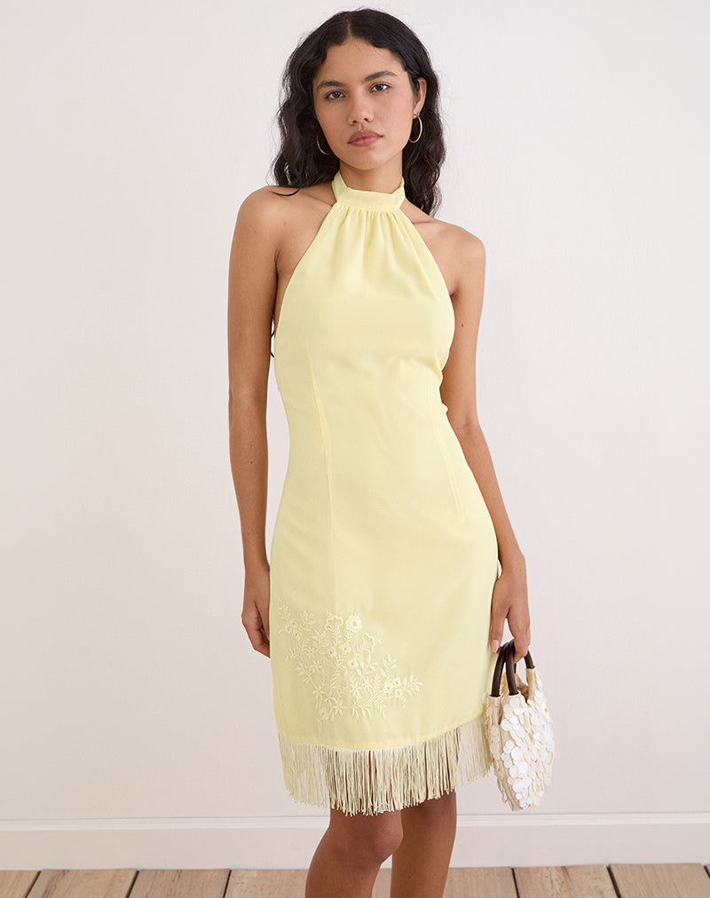 Image of Brisea Mini Dress in Lemon with Vintage Bloom Embroidery