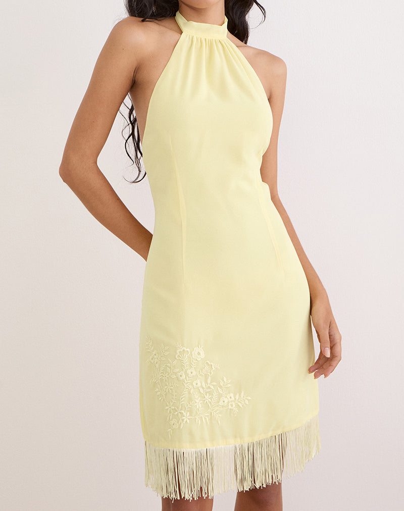 Image of Brisea Mini Dress in Lemon with Vintage Bloom Embroidery