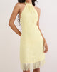 Image of Brisea Mini Dress in Lemon with Vintage Bloom Embroidery