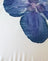 Ivory with Blue Orchid