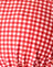 Red Gingham with Picot Trim