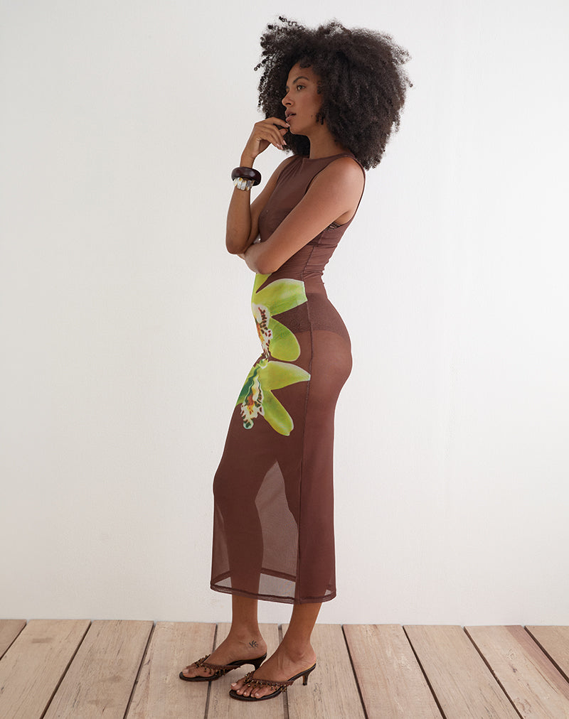 Image of Fay Maxi Dress in Brown with Green Dendrobium Flower