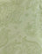 Retro Paisley Lime