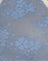 Blue Mesh with Ivory Binding