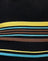 Black with Brown and Blue Stripes