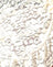 Rose Lace Ivory