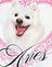 White With Aries Motel Pet