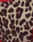 Rar Leopard