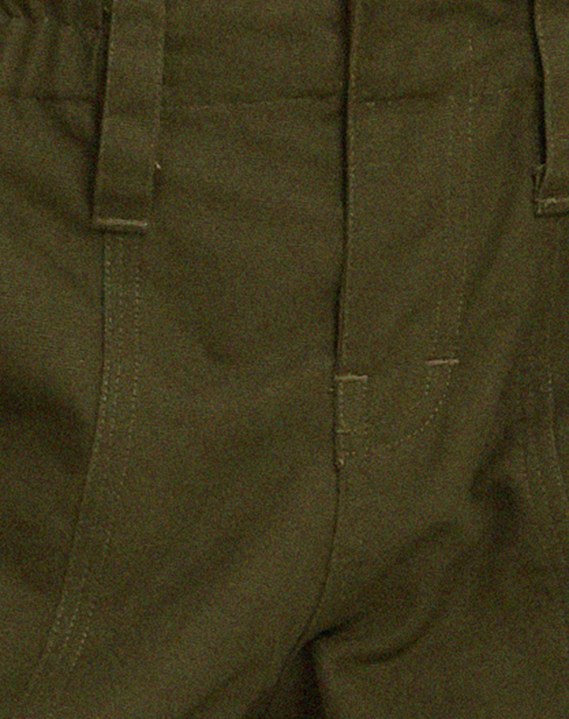 olive green trousers