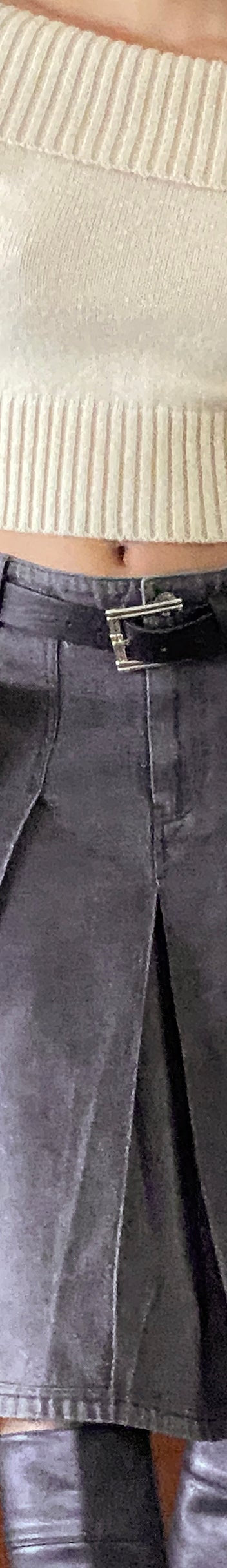 Riani Soft Grey Skirt 804610-5358 907 main image 0