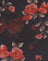  Black Watercolour Rose