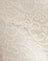 Lace Ivory