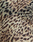 Leopard Dance Brown