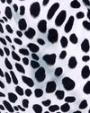 Dalmatian Black and White