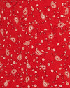 Paisley Fun Red