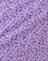 lilac daisy floral