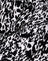 Abstract Animal