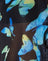 Butterfly Watercolour Black