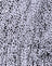 Leo Spot Black and White