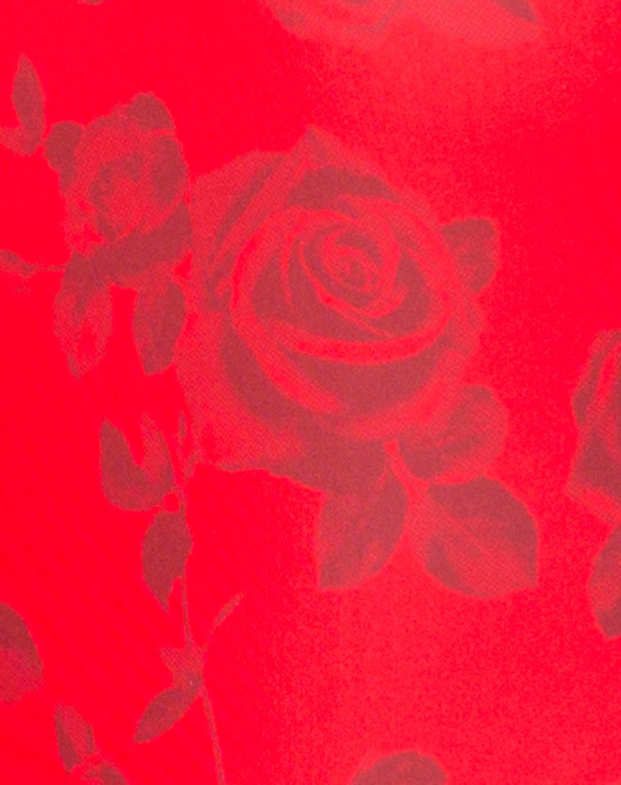 Image of Nadine Swimsuit in Red Roses
