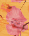  Blurred Orchid Peach