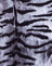 TigerFullSilverPlacement