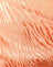 Satin Zebra Cantaloupe