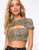 Image of Shim Cutout Crop Top in Rar Leopard