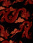 Tonal Dragon Orange
