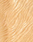 Satin Zebra Caramel