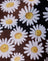 DaisyLoveBlack
